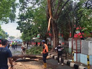 Cerita Warga soal Pohon Tumbang di Tangerang Hantam Kabel Listrik-Tutup Jalan