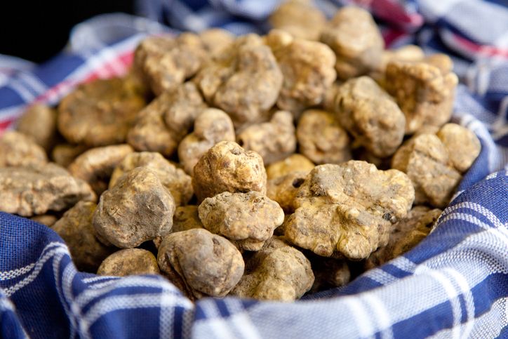 3 Sayuran Termahal di Dunia yang Bikin Kantong Jebol, Harga Sekilo Rp 16,2 Juta!
