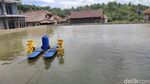 Ciamis Punya Kampung yang Warganya Kompak Budidaya Ikan