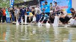 Ciamis Punya Kampung yang Warganya Kompak Budidaya Ikan