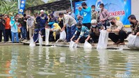 Sejak dikenal sebagai sentra ikan nila, banyak warga dari luar daerah berdatangan membeli ikan. Baik partai kecil maupun besar. Sehingga warga pun tak perlu repot mencari pasar untuk menjual ikan. 