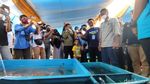 Ciamis Punya Kampung yang Warganya Kompak Budidaya Ikan
