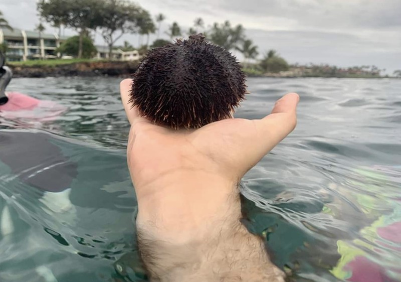 Foto mengecoh mata