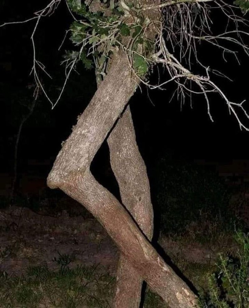 Foto mengecoh mata