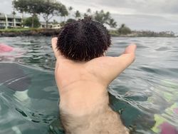 Hati-hati dengan Foto Ini, Lihat Sekilas Bisa Runyam