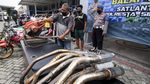 Penampakan Ratusan Motor Hasil Razia Balap Liar di Sidoarjo
