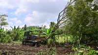 Lokasi lahan ini berada di Desa Sumber Mujur, Candipuro, Lumajang, Jawa Timur.