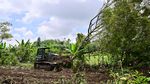 Ini 81 Hektare Lahan Hunian Sementara untuk Korban Erupsi Semeru