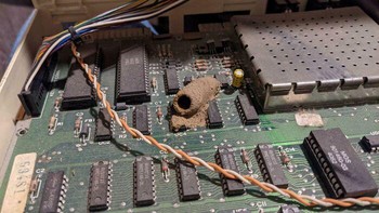 Jadi sarang serangga. Foto: Reddit via Bored Panda