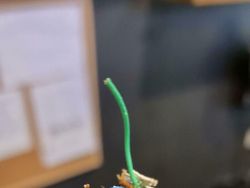 Sederet Ujian Tim IT yang Bikin Mengelus Dada