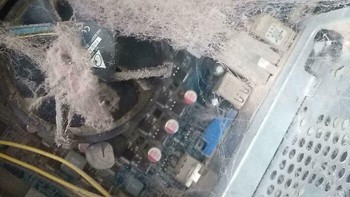 Komputer yang menjadi sarang Spider-Man. Foto: Reddit via Bored Panda