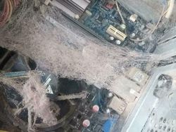 Sederet Ujian Tim IT yang Bikin Mengelus Dada