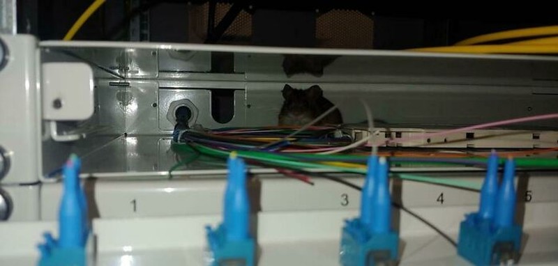 Masalah IT di kantor