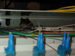 Sederet Ujian Tim IT yang Bikin Mengelus Dada