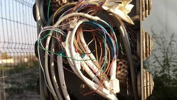 Menjadi sarang tawon. Foto: Reddit via Bored Panda