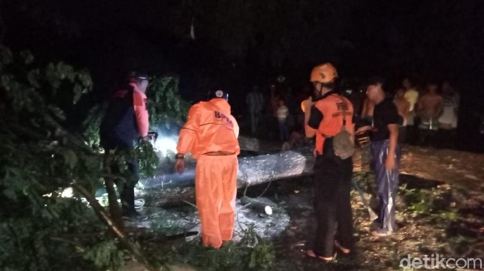 pohon tumbang yang tewaskan seoran warga