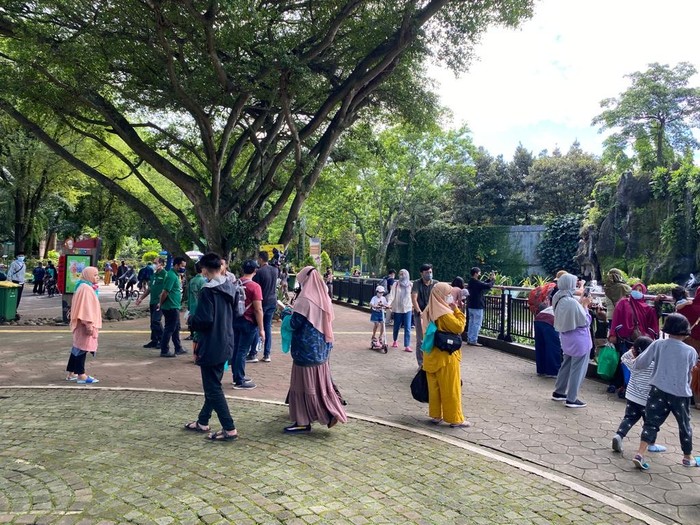 Suasana di Ragunan, Sabtu (18/12/2021)-Annisa/detikcom