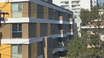 Sampai tiduran di ujung balkon cuma untuk selfie, influencer yang satu ini sepertinya bermental baja. Foto: @influencersinthewild via Bored Panda