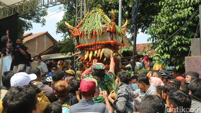 Begini Keseruan Warga Kudus Berebut Belasan Gunungan Durian Begini Keseruan Warga Kudus Berebut Belasan Gunungan Durian