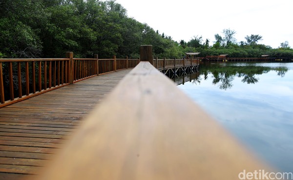 Danau ini memiliki luas sekitar 8 hektare. Untuk menjelajahinya, sudah ada jembatan kayu yang bangun di sisi danau.