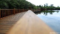 Danau ini memiliki luas sekitar 8 hektare. Untuk menjelajahinya, sudah ada jembatan kayu yang bangun di sisi danau.