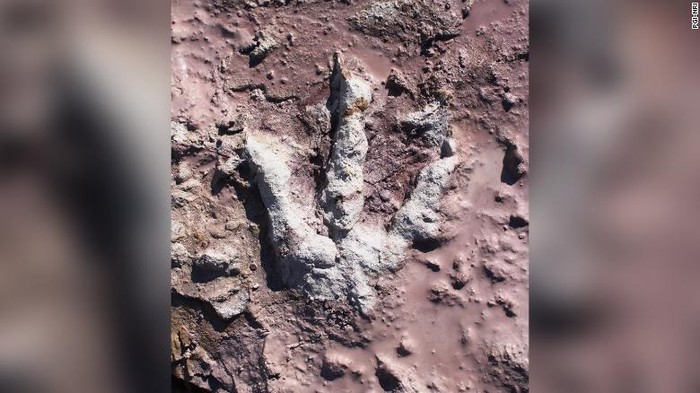 Jejak dinosaurus di Warsawa, Polandia.