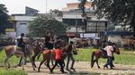 Foto: Wisata Murah Meriah di Bogor, Naik Kuda di Alun-alun Empang
