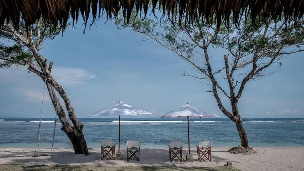 Kura-kura Bali di Pulau Serangan
