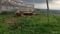 outdoor kedai kopi loa