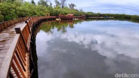 Oh iya, jangan coba-coba untuk berenang di danau ini ya. Menurut warga setempat, danau ini terbentuk karena perubahan tinggi air laut. Air yang ada di danau ini dulunya terperangkap dan menjadi danau. Air danau juga mengalami pasang surut karena masih memiliki saluran ke laut lewat bawah tanah.