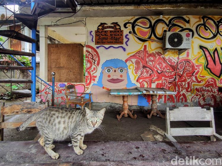 Potret Miris, Gili Meno yang Menangis karena Tak Ada Turis