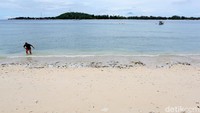 Lihat saja tuh, diseberang sana sudah terlihat Gili Trawangan. Jadi nggak terlalu jauh juga kan. Traveler cuma butuh alat snorkeling dan melakukan free dive sampai kedalaman 7 meter. Disana kalian akan langsung melihat Nest. Tak hanya itu, traveler juga bakal bertemu dengan ikan-ikan karang yang cantik berwarna-warni.