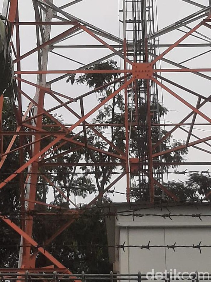 Aksi pria mencoba bunuh diri dengan memanjat tower kembali terjadi di Probolinggo. Kali ini, percobaan bunuh diri dilakukan pria berinisial A (43) di Kecamatan Maron.