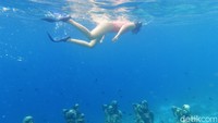 Namanya Nest, yang menjadi salah satu daya tarik tersendiri bagi wisatawan pecinta dasar laut.