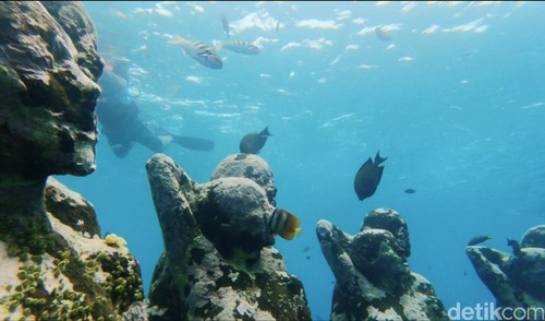 Potret Underwater di Gili Meno Lombok NTB
