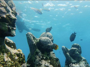 7 Spot Snorkeling Terbaik di Lombok, dari Gili Trawangan hingga Pantai Pink