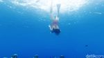Mengintip Sarang Manusia di Dasar Laut Gili Meno