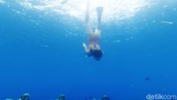 Ada alasan mengapa patung-patung ini diletakkan di bawah laut. Tak hanya mempercantik bawah laut, tapi juga untuk membantu pertumbuhan terumbu karang di perairan Gili.
