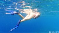 Nest berada tak jauh dari perairan Gili Meno. Traveler bisa naik boat atau langsung berenang saja dari pantai.