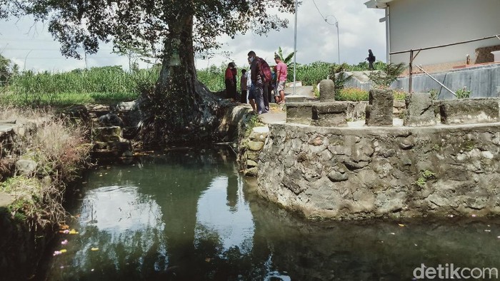 Telaga hulu Sungai Gondang, Klaten. Tempat sering muncul lele tinggal tulang.