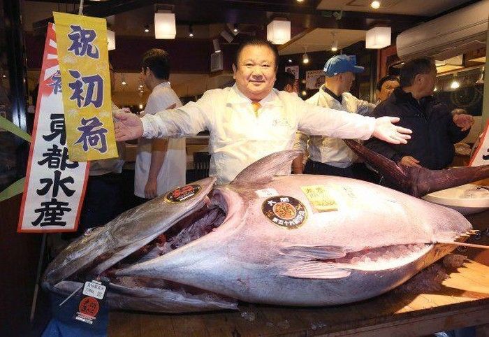 7 Makanan yang Terjual Mahal Dalam Lelang, Ada Ikan Tuna Rp 44,5 Miliar!