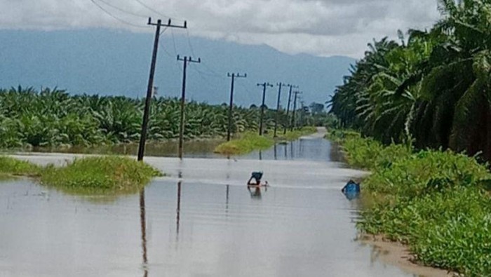 Banjir di Agam, Sumbar (Antara-detikcom)