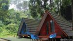 Rekomendasi Lokasi Camping di Bogor: Bumi Perkemahan Citamiang
