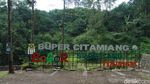 Rekomendasi Lokasi Camping di Bogor: Bumi Perkemahan Citamiang