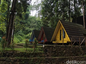 Bumi Perkemahan Citamiang, Spot Adem dan Asyik Buat Kemping di Bogor