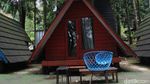 Rekomendasi Lokasi Camping di Bogor: Bumi Perkemahan Citamiang