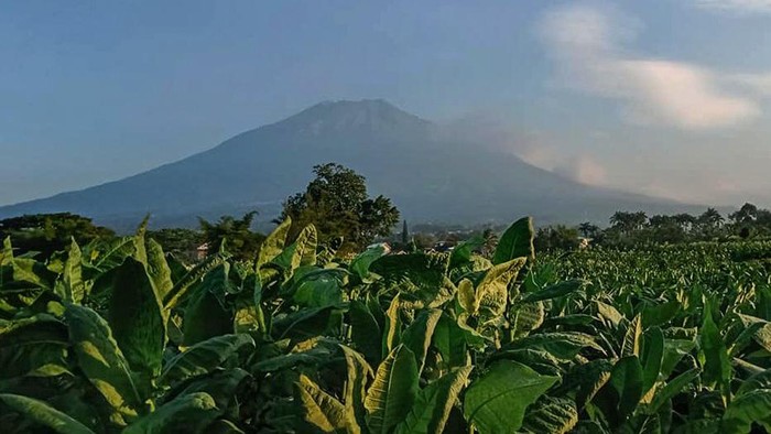 Desa wisata di Temanggung.