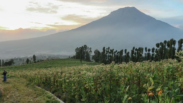 Desa wisata di Temanggung.