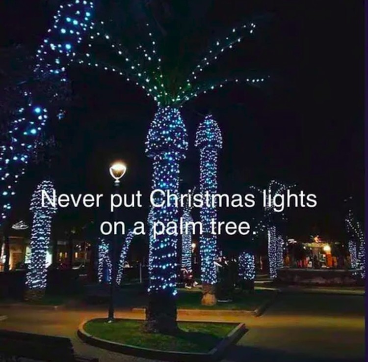 fotoinet pohon natal kreatif
