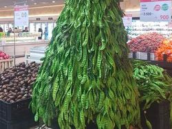 Potret Ide Pohon Natal Kreatif yang Bisa Ditiru